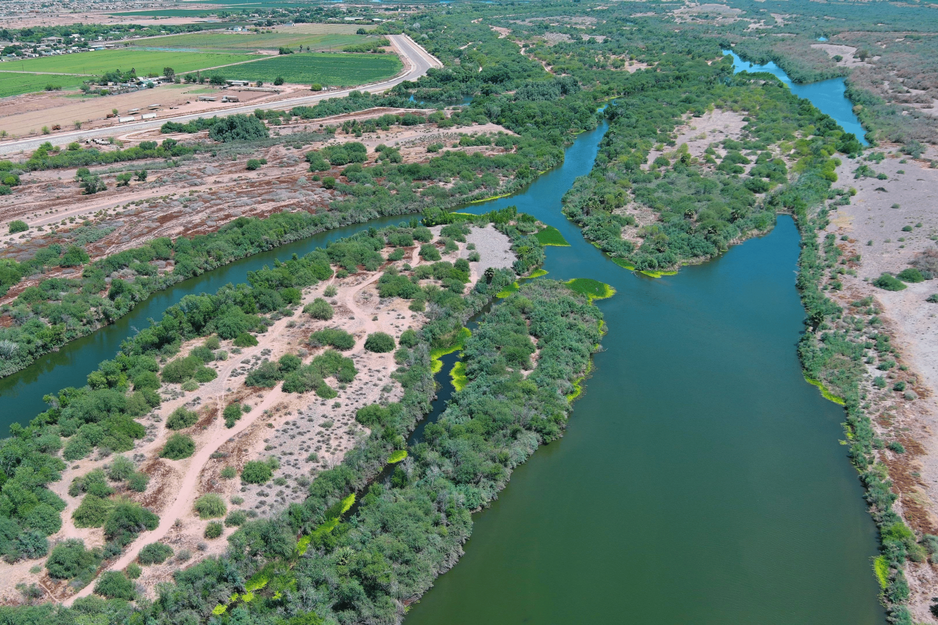 Working Together in the Lower Gila River Corridor | Audubon